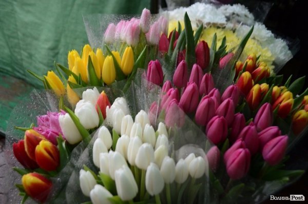 «Квіти - це духовність»: у центрі Луцька сварилися через ринок