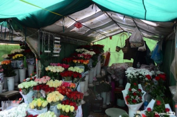 «Квіти - це духовність»: у центрі Луцька сварилися через ринок