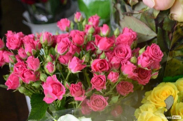 «Квіти - це духовність»: у центрі Луцька сварилися через ринок