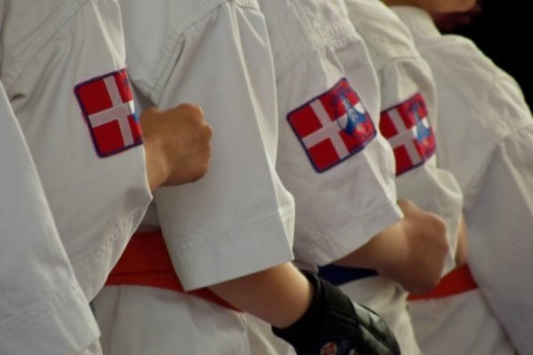 Волинські каратисти взяли участь у Кубку Закарпаття. ФОТО