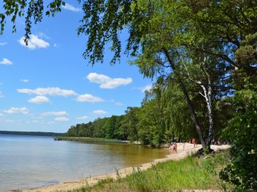 Відпочинок на Білому озері на Рівненщині: чим унікальна водойма і скільки коштує оренда житла. ВІДЕО 