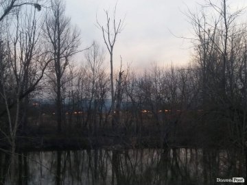 У Луцьку біля Стиру - пожежа. ФОТО