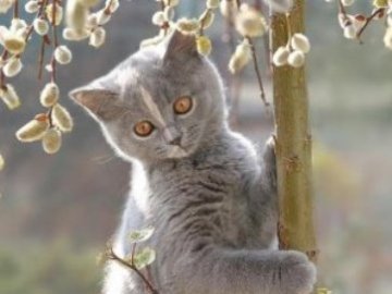 Погода в Луцьку та Волинській області на завтра, 2 березня