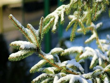 Погода у Луцьку на завтра, 21 грудня