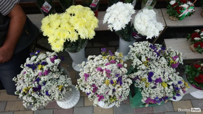 «Квітковий бум» на перший дзвоник: ціни в Луцьку. ФОТО
