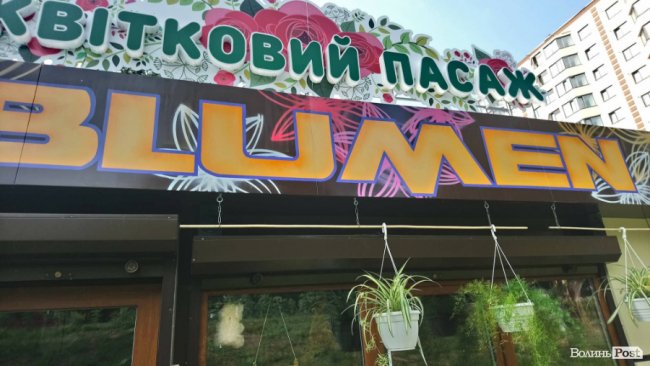 «Квітковий бум» на перший дзвоник: ціни в Луцьку. ФОТО