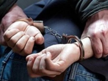 Затримали підозрюваного у зґвалтуванні 84-річної бабусі на Волині
