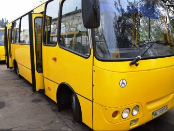 Луцького перевізника не допустили до конкурсу через неекологічні автобуси