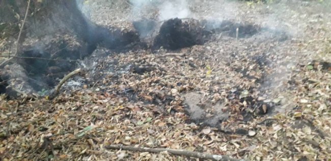 У волинському місті загорівся торф. ВІДЕО