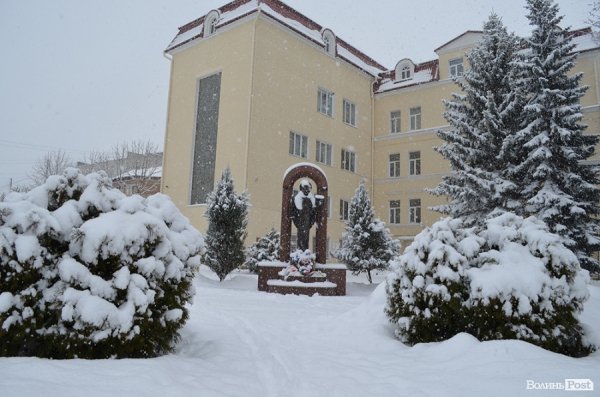 Снігопад у Луцьку. ФОТО