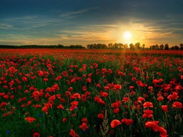 Чому сьогодні не можна плавати: прикмети та традиції 3 липня