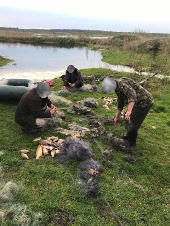У нацпарку на Волині затримали браконьєрів, які ловили рибу сітками із човна. ФОТО