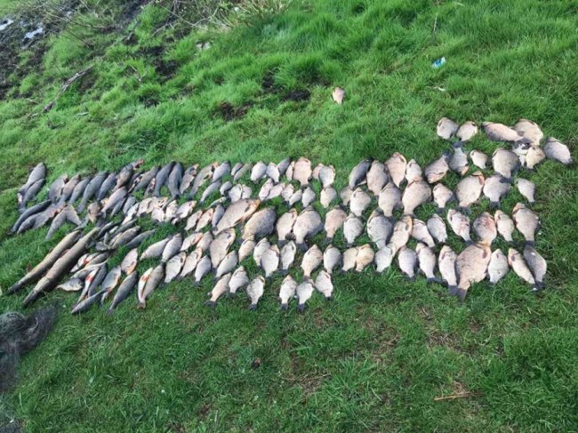 У нацпарку на Волині затримали браконьєрів, які ловили рибу сітками із човна. ФОТО