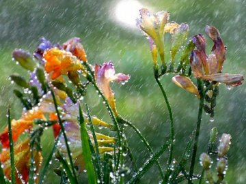 В Україну йде похолодання: прогноз синоптика