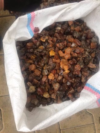 Отруєння собак та смерть на полюванні. Надзвичайні новини тижня (23-29 жовтня)