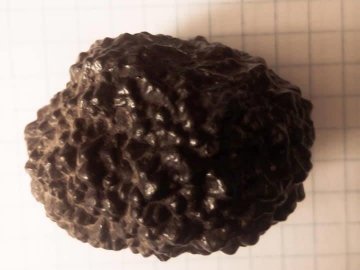 У волинському музеї зберігають уламки метеоритів. ФОТО