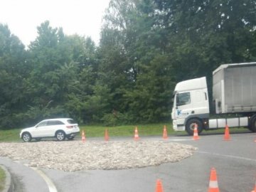 На Волині із вантажівки на дорогу висипалися рештки курятини