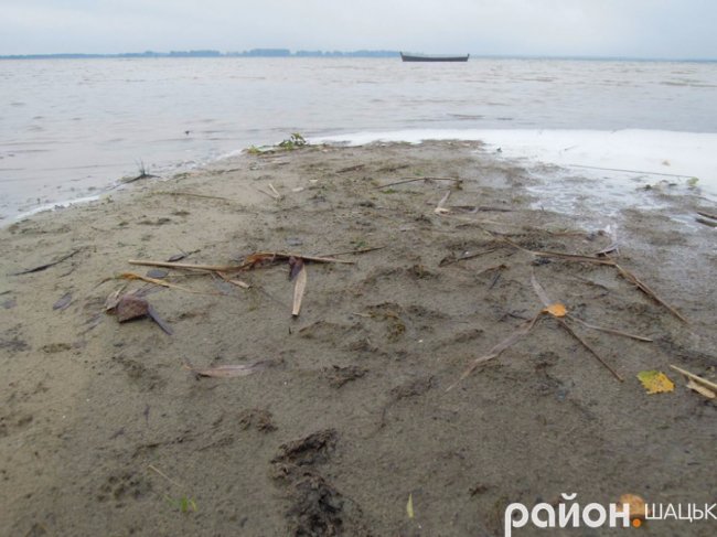 Самотній і чудернацький: оприлюднили фото осіннього Світязю