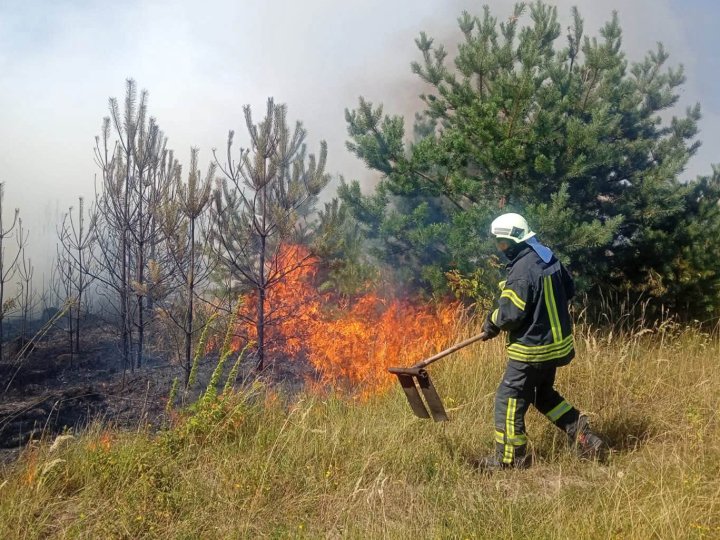 За добу пожежники Волині 7 разів гасили палаючий сухостій. ФОТО