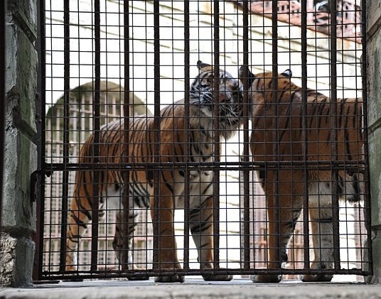 Цікаве про форт Буаяр (Частина 2). ФОТО