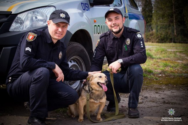 Добро робити легко: як волинські патрульні фотографувалися з безпритульними песиками
