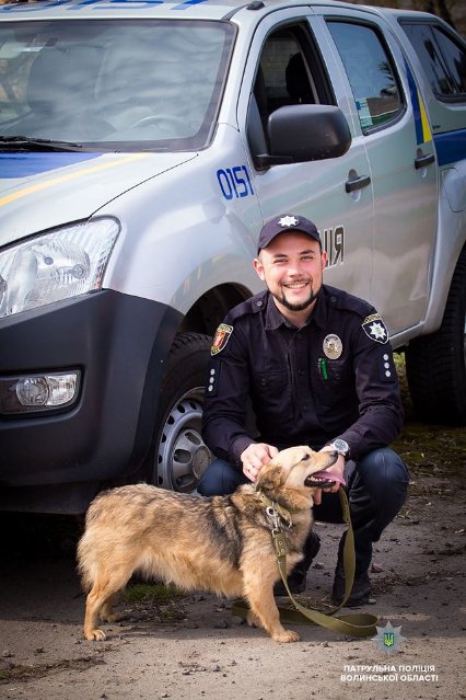 Добро робити легко: як волинські патрульні фотографувалися з безпритульними песиками