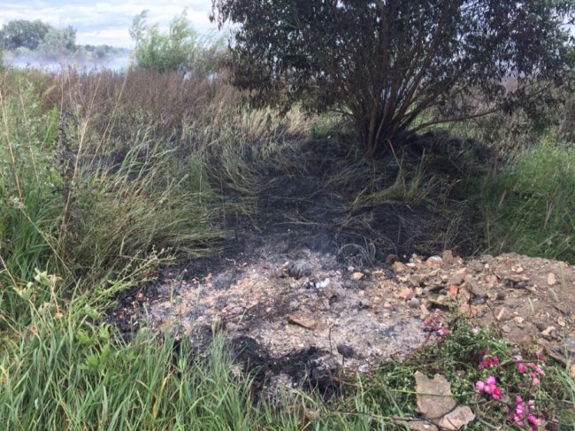 Через паліїв сміття на Волині вигоріло три гектари поля