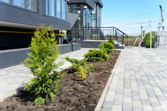 Здача нового будинку і озеленення території: затишне і сучасне житло у ЖК «Західний Олімп» під Луцьком*