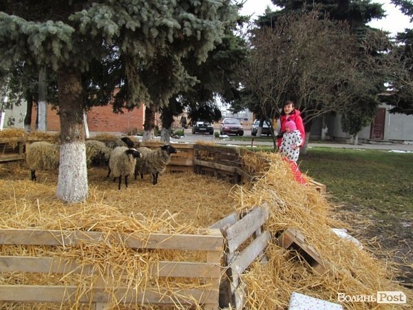 У Луцьку фірма замість новорічного корпоративу збирає гроші на АТО. ФОТО 