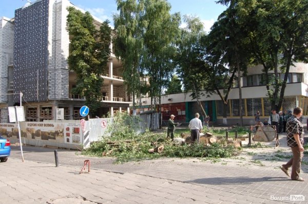 Центр Луцька звільняють від дерев. ФОТО