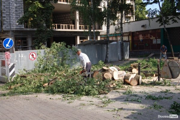 Центр Луцька звільняють від дерев. ФОТО
