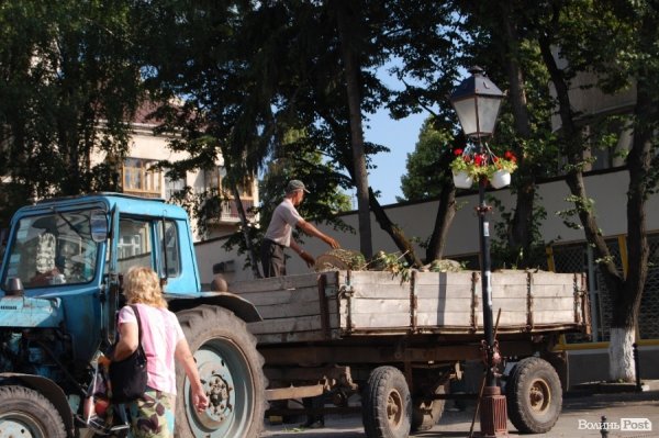 Центр Луцька звільняють від дерев. ФОТО