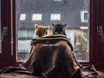 На Волинь суне похолодання