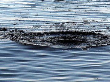 На Волині  зі ставка дістали тіло потопельника