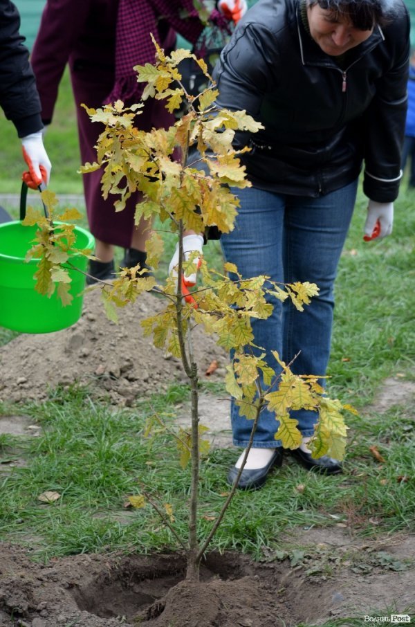 Екологічна акція в «Сіті Парку». ФОТО