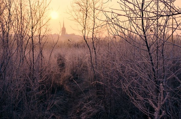 Фотовиставка Олександра Калініна