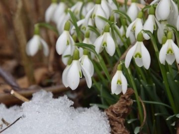 Перші дні весни: якою буде погода