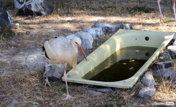 Лучани похвалились зоопарком перед гостями з інших міст. ФОТО