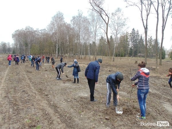 Як мер Луцька з студентами дерева садив. ФОТО