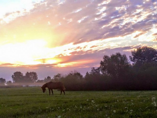 Чарівний світанок у волинському селі. ФОТО