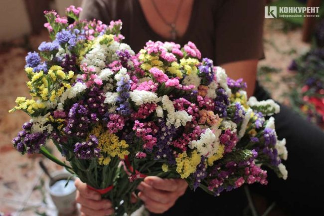 Яскрава квітка півдня: як поблизу Луцька родина вирощує красивий сухоцвіт. ФОТО