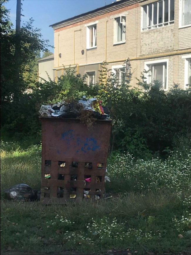 Нестерпний сморід у місті: в Устилузі комунальники два тижні не вивозять сміття. ФОТО