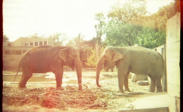 Фотовиставка Юлії Ткаченко