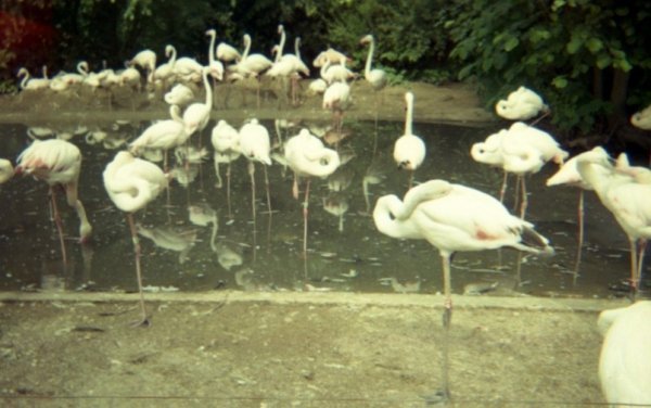 Фотовиставка Юлії Ткаченко