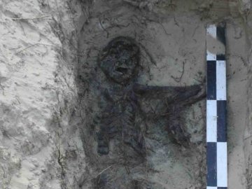 Волинські археологи знайшли поховання з переломами черепа