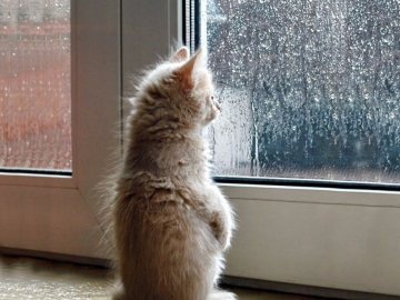 Погода в Луцьку та Волинській області на вівторок, 12 лютого