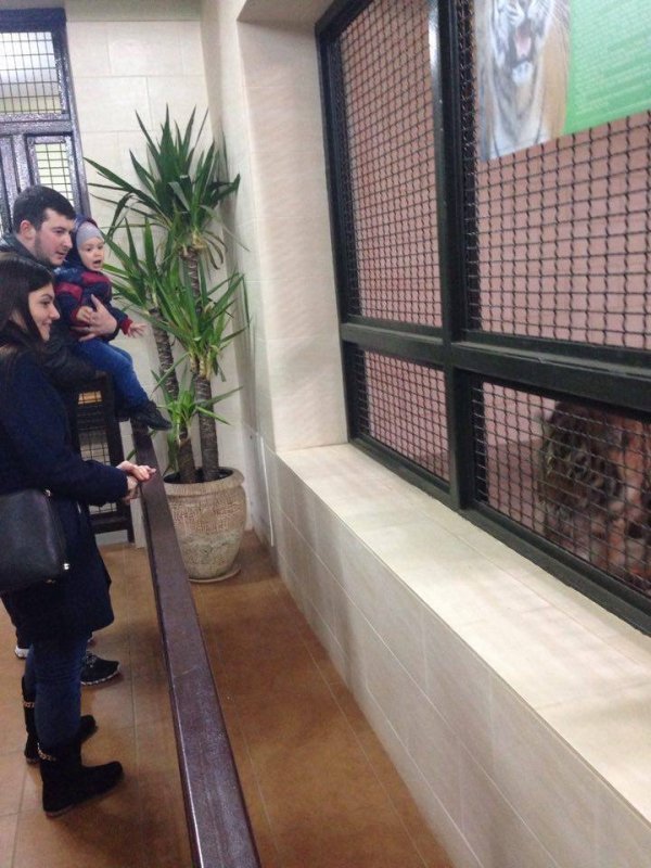 Луцький зоопарк просить допомогти з озелененням. ФОТО