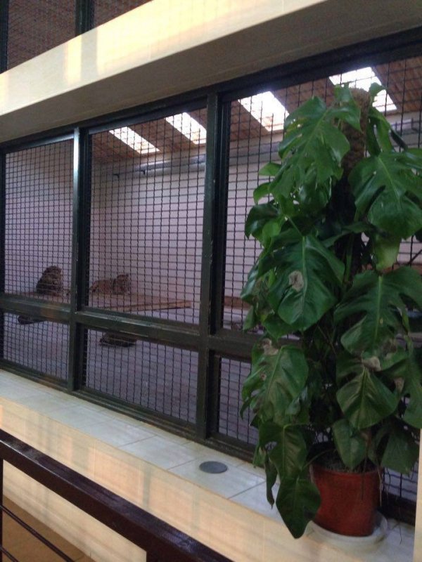 Луцький зоопарк просить допомогти з озелененням. ФОТО