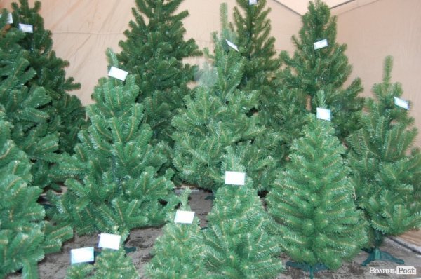 У центрі Луцька розгорнули новорічний ярмарок. ФОТО