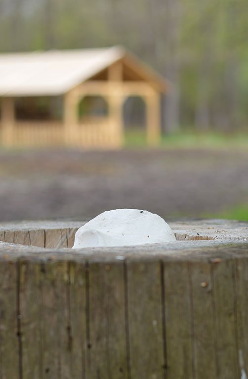 «У мисливстві, як і в усій лісовій галузі, не буває швидкого повернення вкладень»,  – головний лісівник Волині